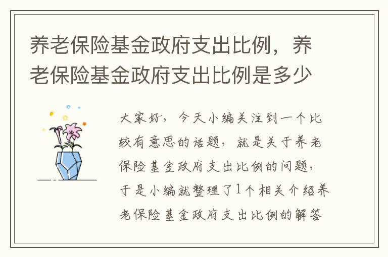 养老保险基金政府支出比例，养老保险基金政府支出比例是多少