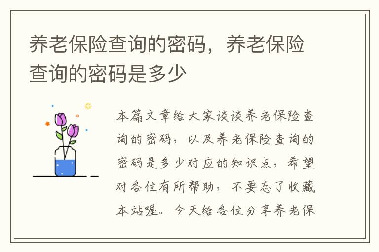 养老保险查询的密码，养老保险查询的密码是多少