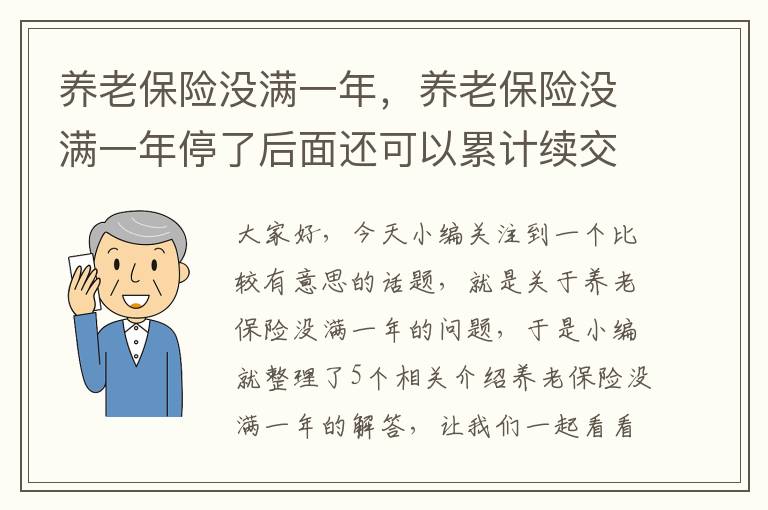 养老保险没满一年，养老保险没满一年停了后面还可以累计续交吗