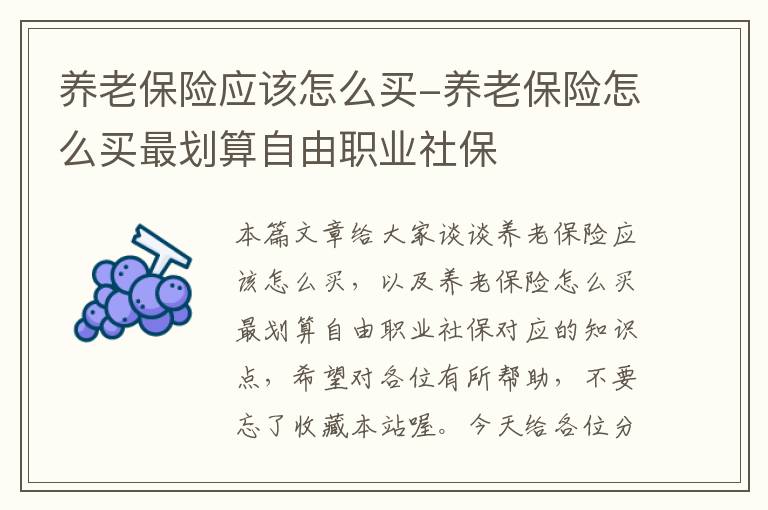 养老保险应该怎么买-养老保险怎么买最划算自由职业社保