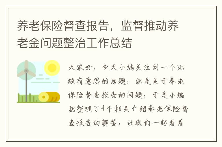 养老保险督查报告，监督推动养老金问题整治工作总结