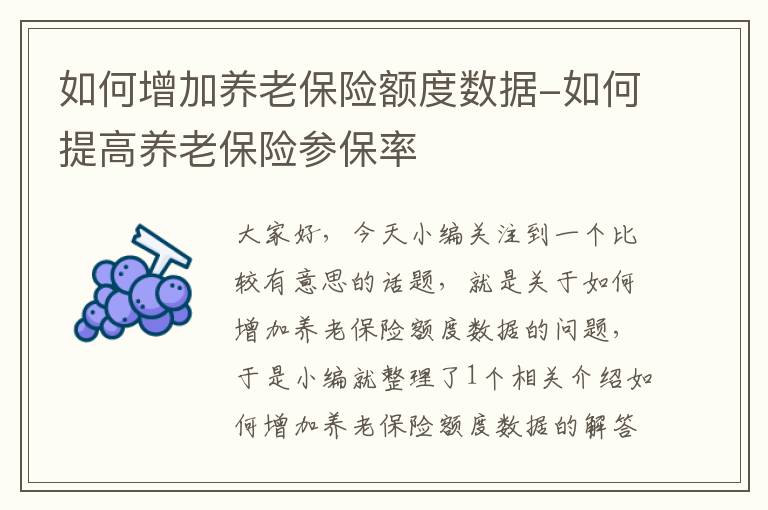 如何增加养老保险额度数据-如何提高养老保险参保率