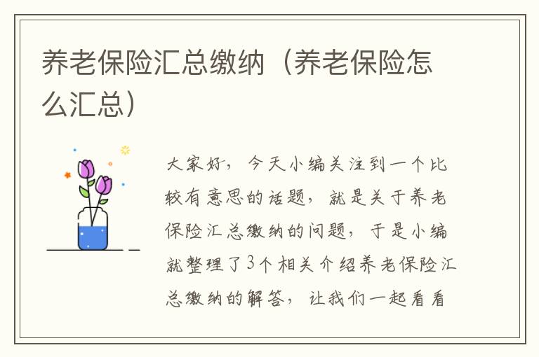 养老保险汇总缴纳（养老保险怎么汇总）