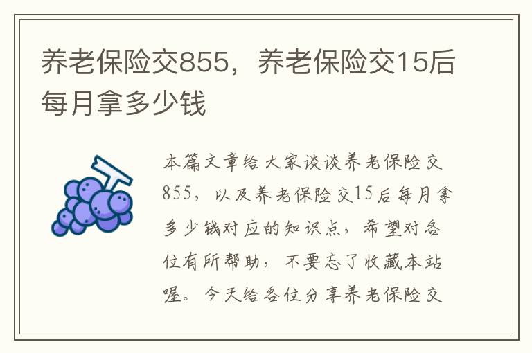 养老保险交855，养老保险交15后每月拿多少钱