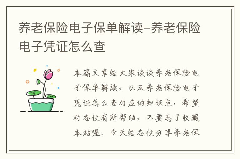 养老保险电子保单解读-养老保险电子凭证怎么查