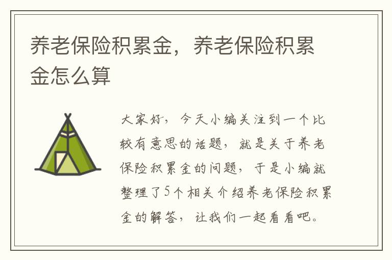 养老保险积累金，养老保险积累金怎么算