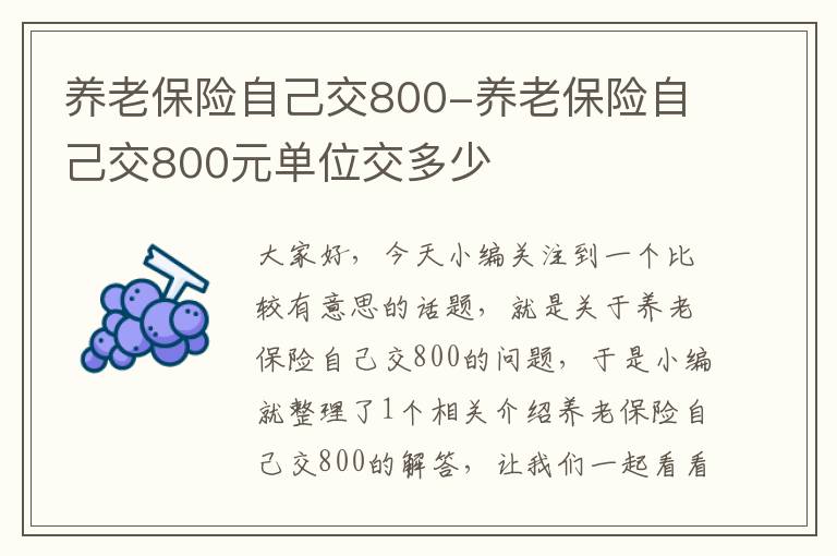 养老保险自己交800-养老保险自己交800元单位交多少