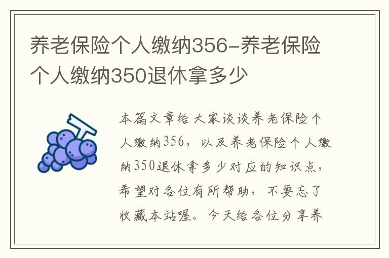 养老保险个人缴纳356-养老保险个人缴纳350退休拿多少