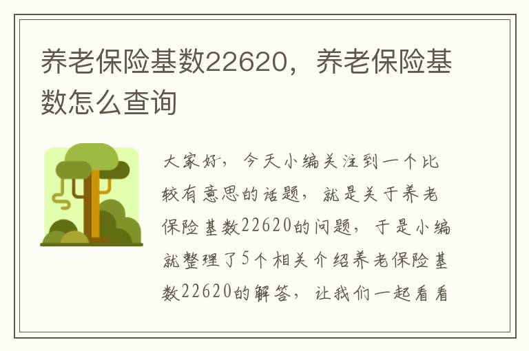 养老保险基数22620，养老保险基数怎么查询