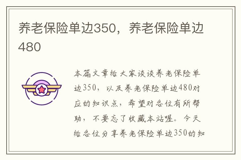 养老保险单边350，养老保险单边480