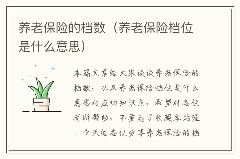 养老保险的档数（养老保险档位是什么意思）