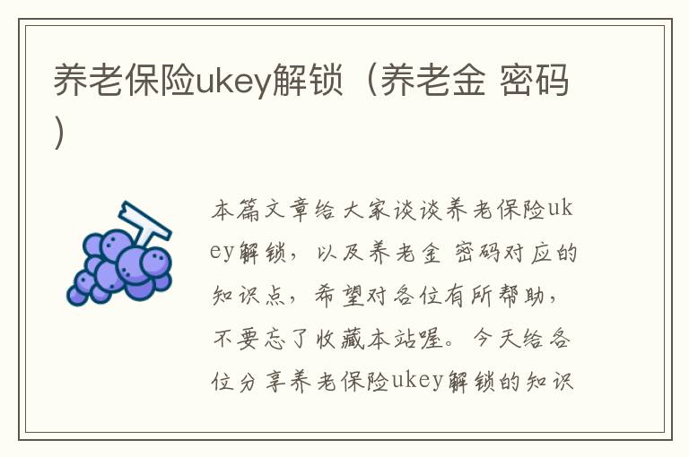 养老保险ukey解锁（养老金 密码）