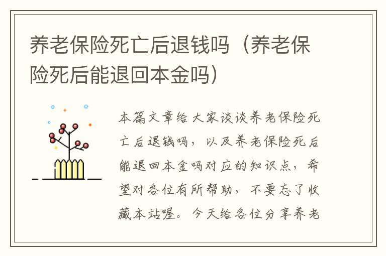 养老保险死亡后退钱吗（养老保险死后能退回本金吗）