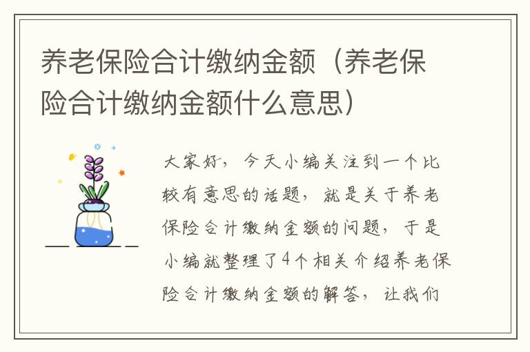 养老保险合计缴纳金额（养老保险合计缴纳金额什么意思）