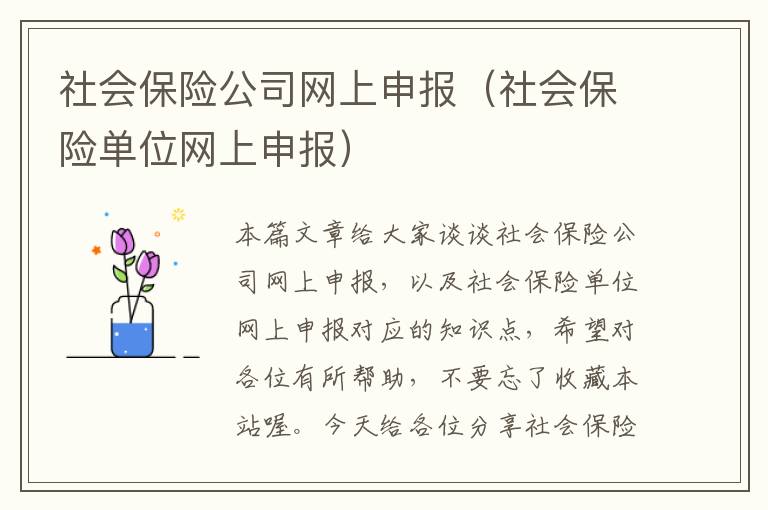 社会保险公司网上申报（社会保险单位网上申报）