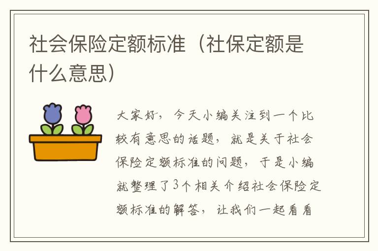 社会保险定额标准（社保定额是什么意思）