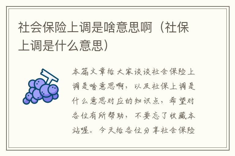 社会保险上调是啥意思啊（社保上调是什么意思）