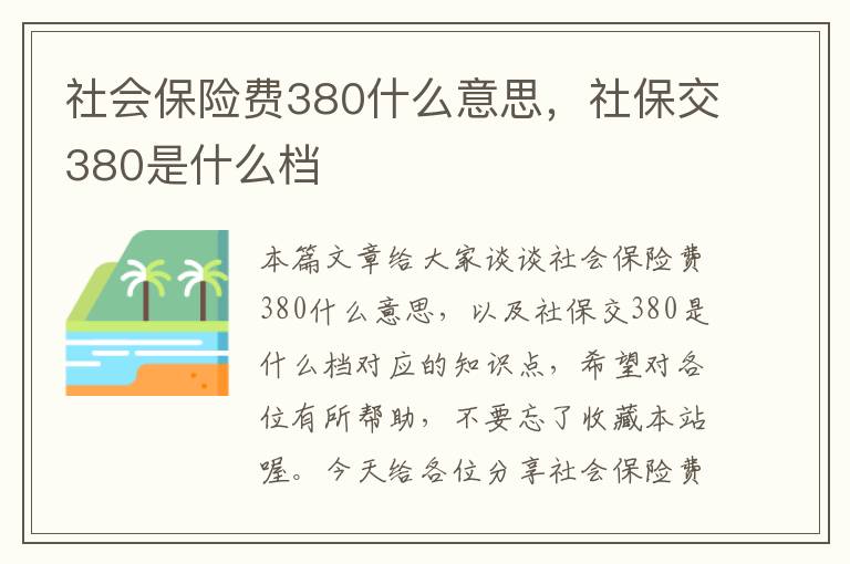 社会保险费380什么意思，社保交380是什么档