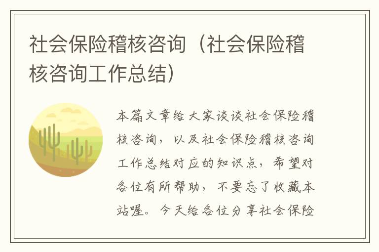 社会保险稽核咨询（社会保险稽核咨询工作总结）