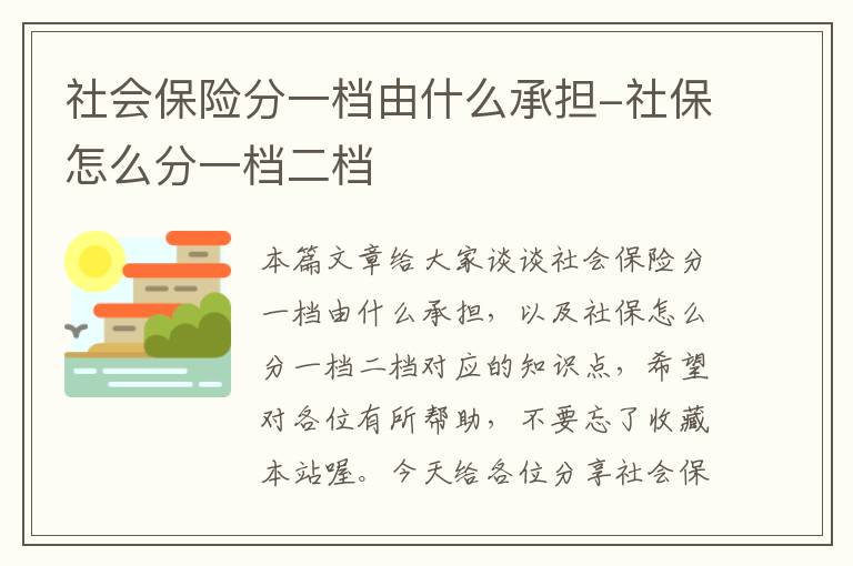 社会保险分一档由什么承担-社保怎么分一档二档