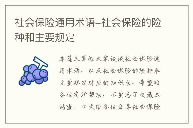 社会保险通用术语-社会保险的险种和主要规定