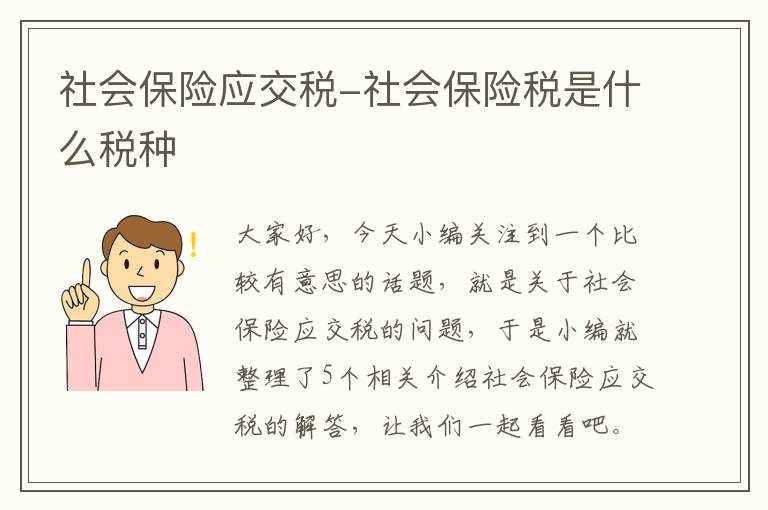 社会保险应交税-社会保险税是什么税种