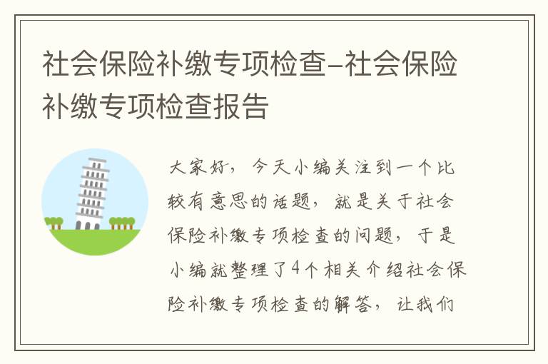 社会保险补缴专项检查-社会保险补缴专项检查报告