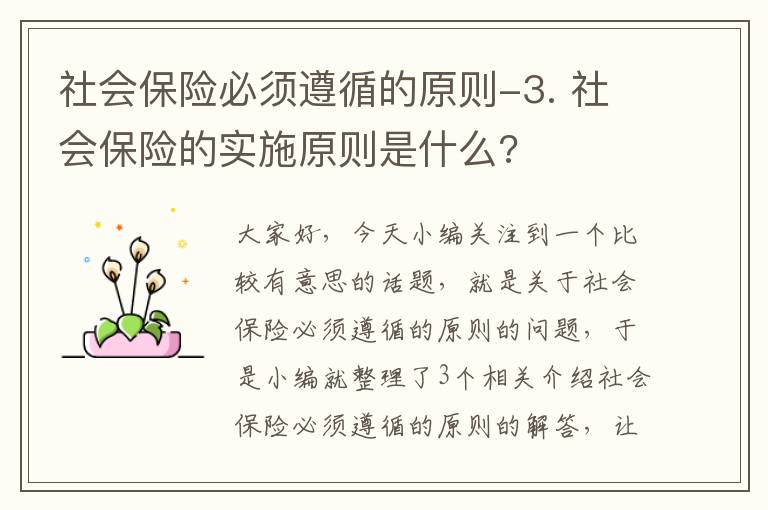 社会保险必须遵循的原则-3. 社会保险的实施原则是什么?