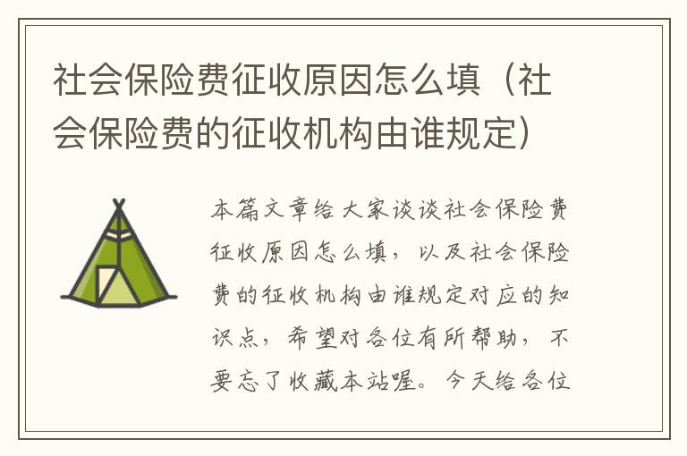 社会保险费征收原因怎么填（社会保险费的征收机构由谁规定）