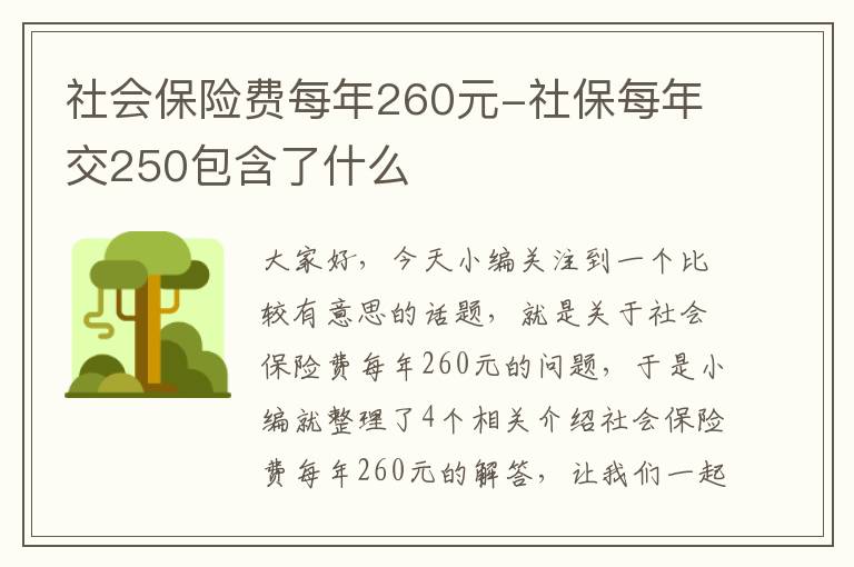 社会保险费每年260元-社保每年交250包含了什么