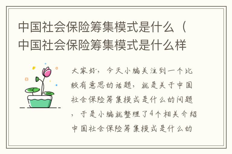 中国社会保险筹集模式是什么（中国社会保险筹集模式是什么样的）