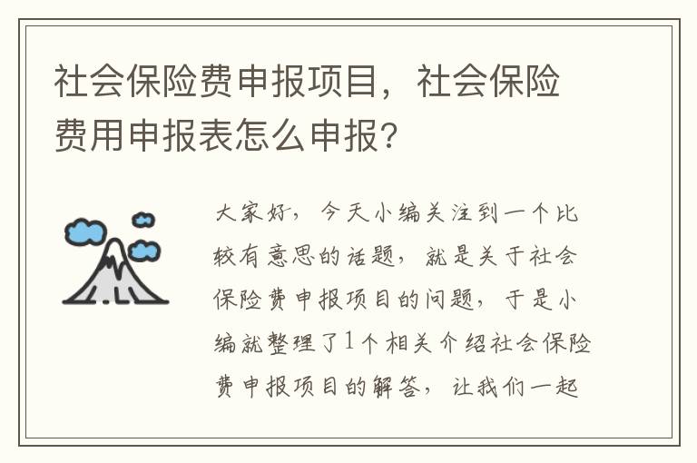 社会保险费申报项目，社会保险费用申报表怎么申报?