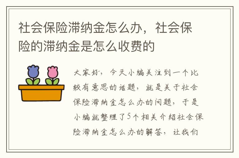 社会保险滞纳金怎么办，社会保险的滞纳金是怎么收费的