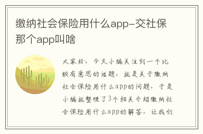 缴纳社会保险用什么app-交社保那个app叫啥