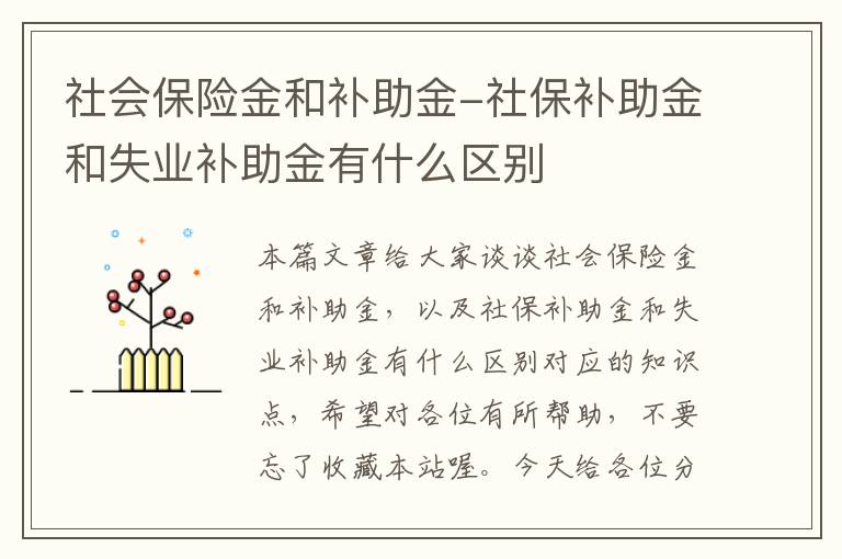 社会保险金和补助金-社保补助金和失业补助金有什么区别