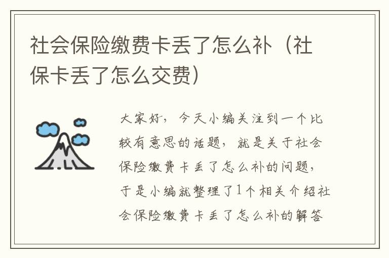 社会保险缴费卡丢了怎么补（社保卡丢了怎么交费）