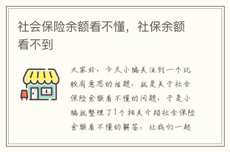 社会保险余额看不懂，社保余额看不到