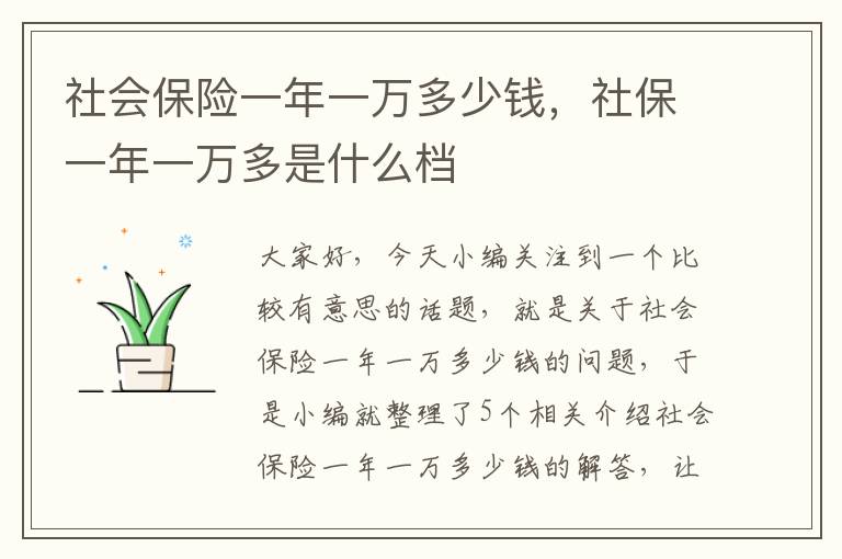 社会保险一年一万多少钱，社保一年一万多是什么档