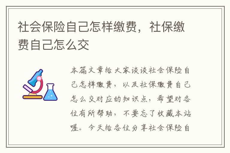 社会保险自己怎样缴费，社保缴费自己怎么交