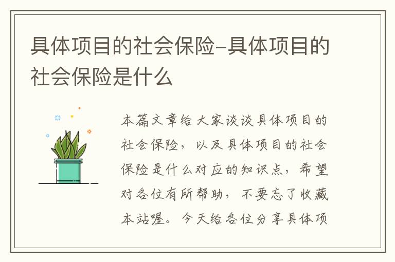 具体项目的社会保险-具体项目的社会保险是什么