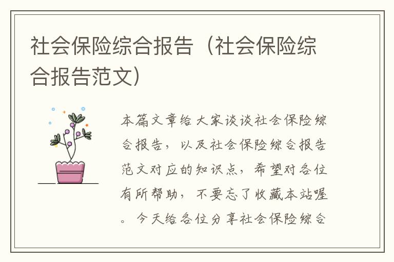 社会保险综合报告（社会保险综合报告范文）