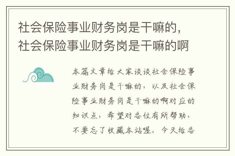 社会保险事业财务岗是干嘛的，社会保险事业财务岗是干嘛的啊