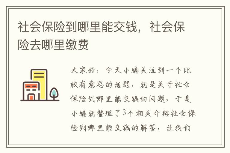 社会保险到哪里能交钱，社会保险去哪里缴费