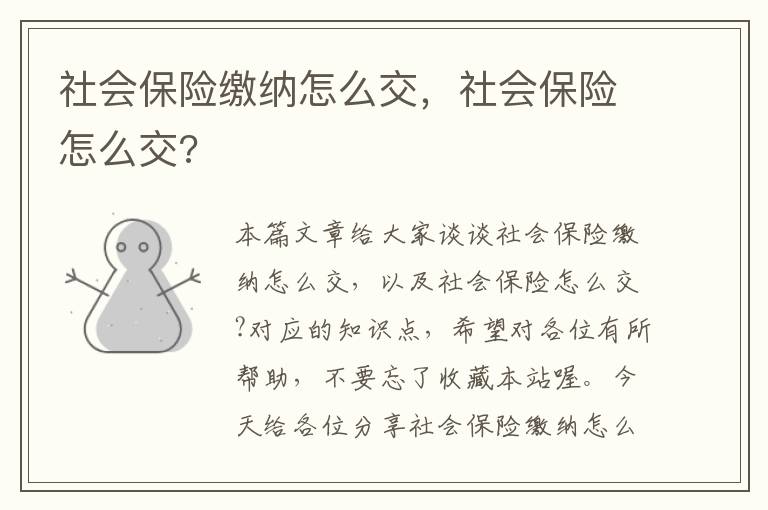 社会保险缴纳怎么交，社会保险怎么交?