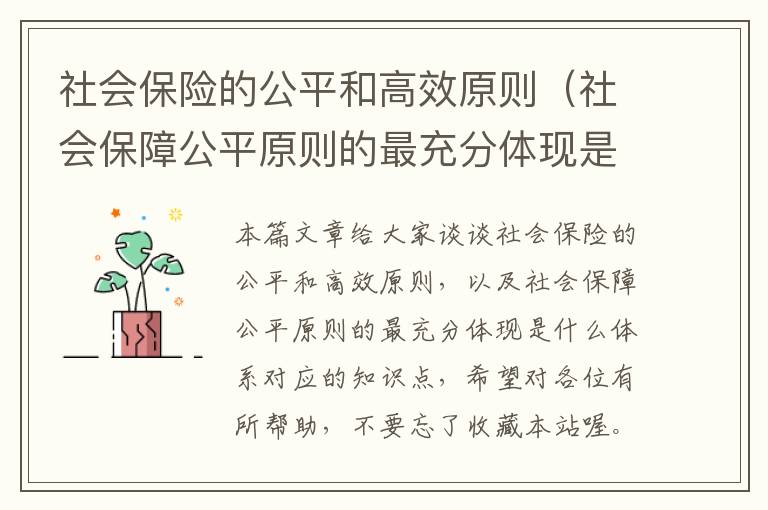 社会保险的公平和高效原则（社会保障公平原则的最充分体现是什么体系）