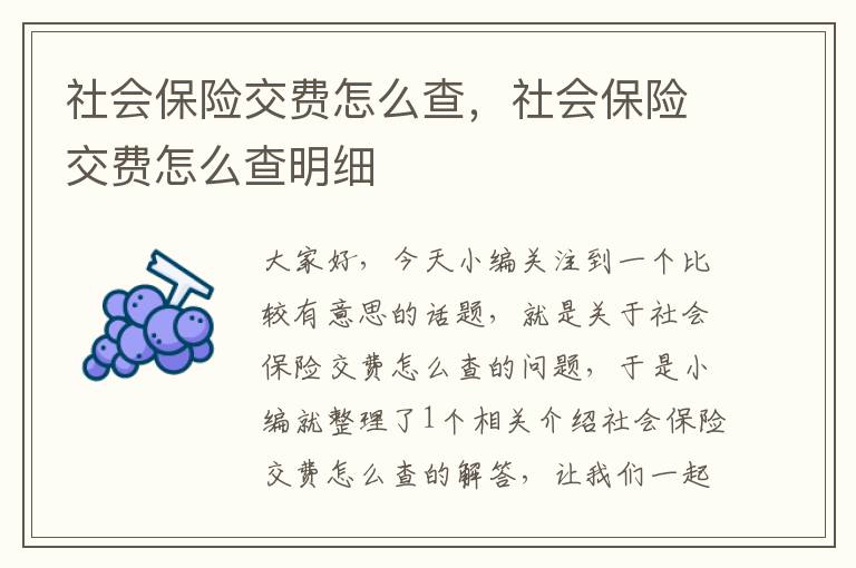 社会保险交费怎么查，社会保险交费怎么查明细