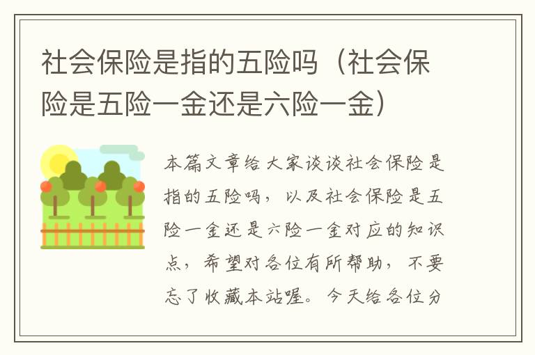 社会保险是指的五险吗（社会保险是五险一金还是六险一金）