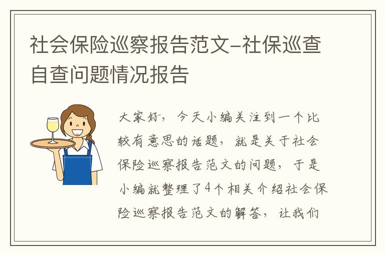 社会保险巡察报告范文-社保巡查自查问题情况报告