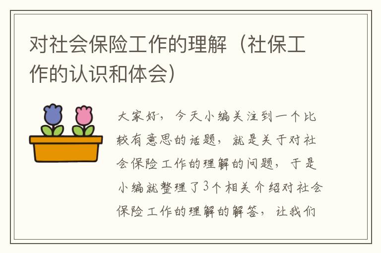 对社会保险工作的理解（社保工作的认识和体会）