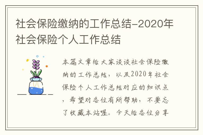 社会保险缴纳的工作总结-2020年社会保险个人工作总结